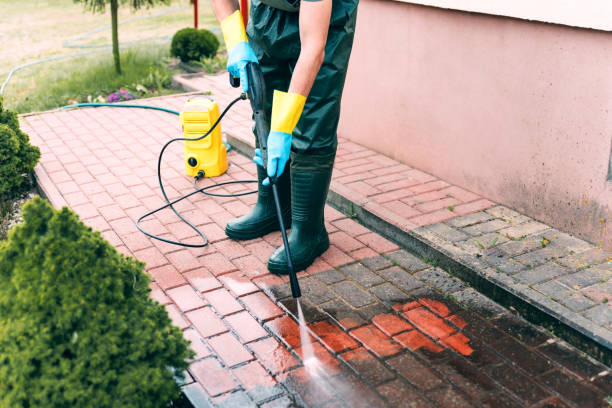 Best Pool Deck Cleaning  in Mledgevle, IL